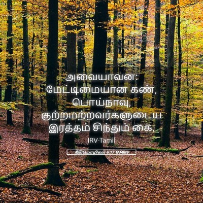 Picture 05 - நீதிமொழிகள் 6:17 TAMIRV - அவையாவன: - Bible Verse Picture