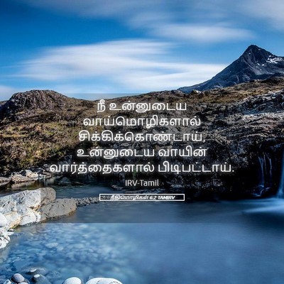 Picture 05 - நீதிமொழிகள் 6:2 TAMIRV - நீ உன்னுடைய - Bible Verse Picture
