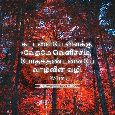 Picture 05 - நீதிமொழிகள் 6:23 TAMIRV - கட்டளையே விளக்கு, - Bible Verse Picture
