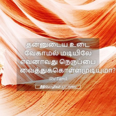 Picture 05 - நீதிமொழிகள் 6:27 TAMIRV - தன்னுடைய உடை - Bible Verse Picture