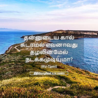 Picture 05 - நீதிமொழிகள் 6:28 TAMIRV - தன்னுடைய கால் - Bible Verse Picture