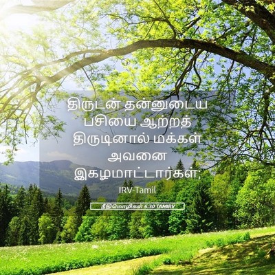 Picture 05 - நீதிமொழிகள் 6:30 TAMIRV - திருடன் தன்னுடைய - Bible Verse Picture