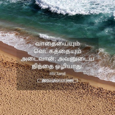 Picture 05 - நீதிமொழிகள் 6:33 TAMIRV - வாதையையும் - Bible Verse Picture