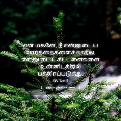Picture 05 - நீதிமொழிகள் 7:1 TAMIRV - என் மகனே, நீ - Bible Verse Picture
