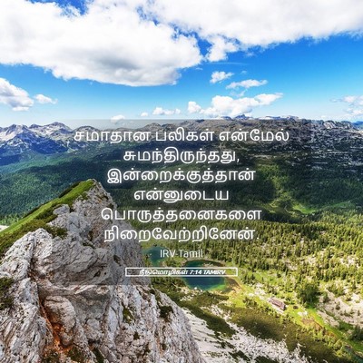 Picture 05 - நீதிமொழிகள் 7:14 TAMIRV - சமாதான பலிகள் - Bible Verse Picture