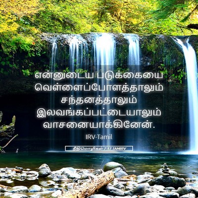 Picture 05 - நீதிமொழிகள் 7:17 TAMIRV - என்னுடைய - Bible Verse Picture