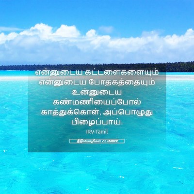 Picture 05 - நீதிமொழிகள் 7:2 TAMIRV - என்னுடைய - Bible Verse Picture