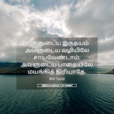 Picture 05 - நீதிமொழிகள் 7:25 TAMIRV - உன்னுடைய இருதயம் - Bible Verse Picture