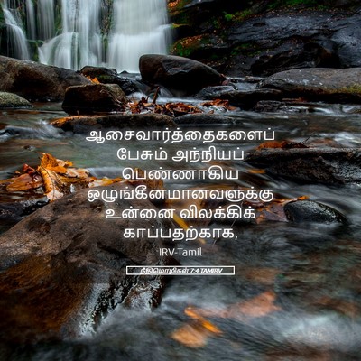 Picture 05 - நீதிமொழிகள் 7:4 TAMIRV - ஆசைவார்த்தைகளைப் - Bible Verse Picture