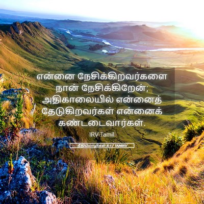 Picture 05 - நீதிமொழிகள் 8:17 TAMIRV - என்னை - Bible Verse Picture