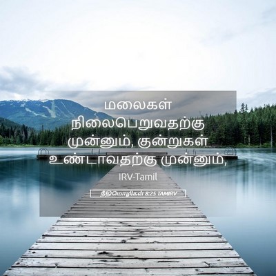 Picture 05 - நீதிமொழிகள் 8:25 TAMIRV - மலைகள் - Bible Verse Picture