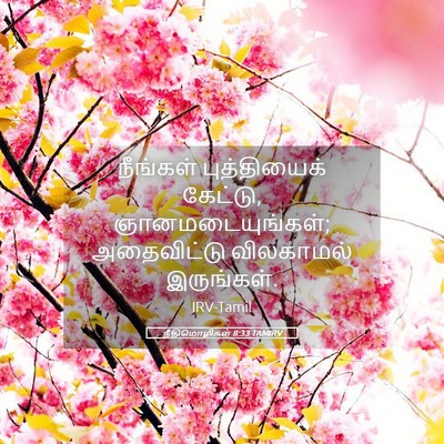 Picture 05 - நீதிமொழிகள் 8:33 TAMIRV - நீங்கள் - Bible Verse Picture