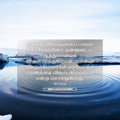 Picture 05 - நீதிமொழிகள் 8:36 TAMIRV - எனக்கு விரோதமாகப் - Bible Verse Picture