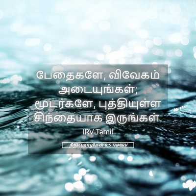 Picture 05 - நீதிமொழிகள் 8:5 TAMIRV - பேதைகளே, விவேகம் - Bible Verse Picture