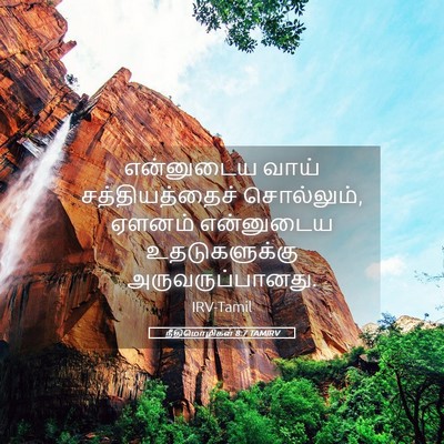 Picture 05 - நீதிமொழிகள் 8:7 TAMIRV - என்னுடைய வாய் - Bible Verse Picture