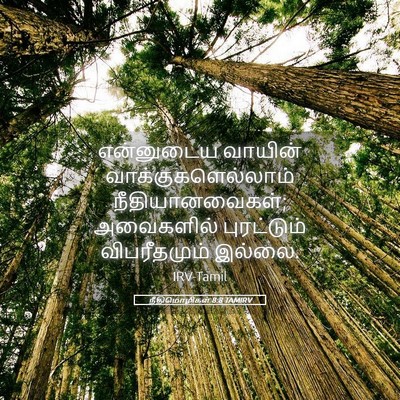 Picture 05 - நீதிமொழிகள் 8:8 TAMIRV - என்னுடைய வாயின் - Bible Verse Picture