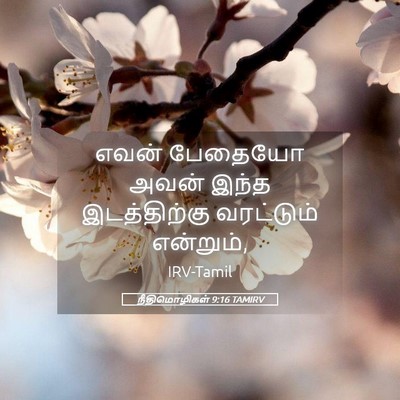Picture 05 - நீதிமொழிகள் 9:16 TAMIRV - எவன் பேதையோ அவன் - Bible Verse Picture