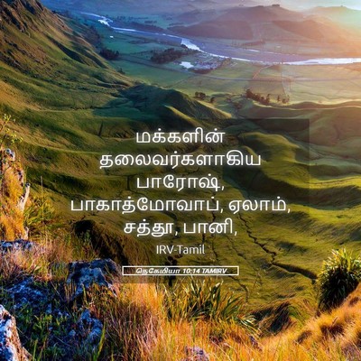 Picture 05 - நெகேமியா 10:14 TAMIRV - மக்களின் - Bible Verse Picture