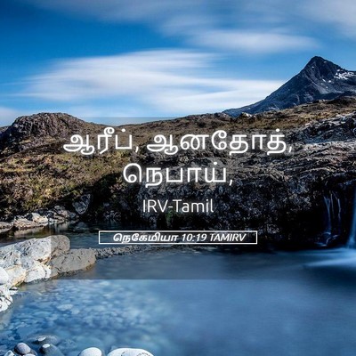 Picture 05 - நெகேமியா 10:19 TAMIRV - ஆரீப், ஆனதோத், - Bible Verse Picture