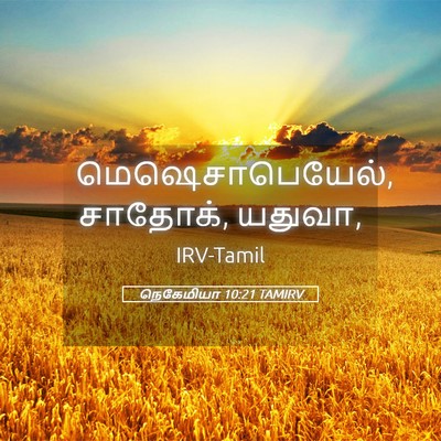 Picture 05 - நெகேமியா 10:21 TAMIRV - மெஷெசாபெயேல், - Bible Verse Picture