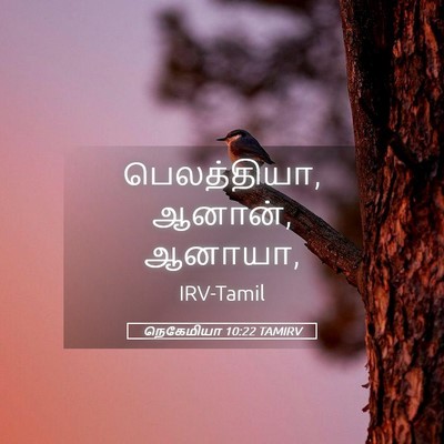 Picture 05 - நெகேமியா 10:22 TAMIRV - பெலத்தியா, ஆனான், - Bible Verse Picture