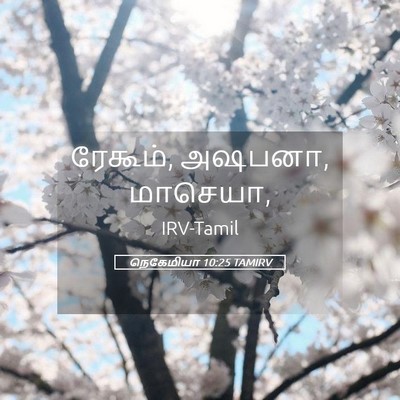 Picture 05 - நெகேமியா 10:25 TAMIRV - ரேகூம், அஷபனா, - Bible Verse Picture