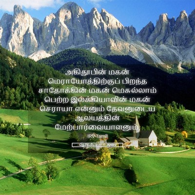 Picture 05 - நெகேமியா 11:11 TAMIRV - அகிதூபின் மகன் - Bible Verse Picture
