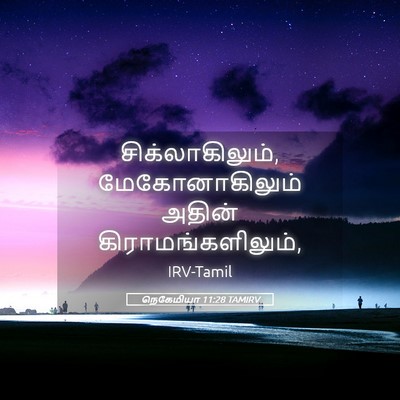 Picture 05 - நெகேமியா 11:28 TAMIRV - சிக்லாகிலும், - Bible Verse Picture