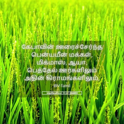 Picture 05 - நெகேமியா 11:31 TAMIRV - கேபாவின் - Bible Verse Picture
