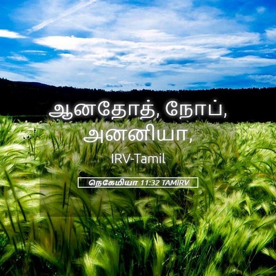 Picture 05 - நெகேமியா 11:32 TAMIRV - ஆனதோத், நோப், - Bible Verse Picture