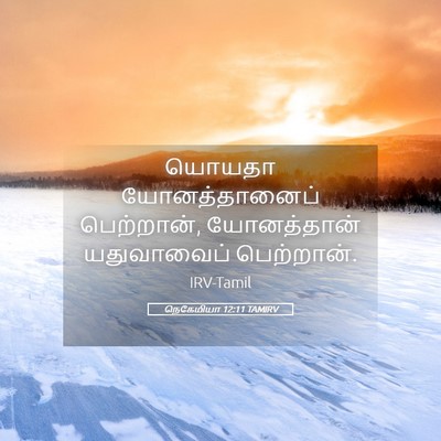 Picture 05 - நெகேமியா 12:11 TAMIRV - யொயதா யோனத்தானைப் - Bible Verse Picture