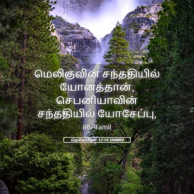 Picture 05 - நெகேமியா 12:14 TAMIRV - மெலிகுவின் - Bible Verse Picture