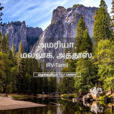 Picture 05 - நெகேமியா 12:2 TAMIRV - அமரியா, மல்லூக், - Bible Verse Picture