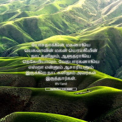 Picture 05 - நெகேமியா 12:26 TAMIRV - யோசதாக்கின் - Bible Verse Picture