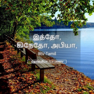 Picture 05 - நெகேமியா 12:4 TAMIRV - இத்தோ, கிநேதோ, - Bible Verse Picture