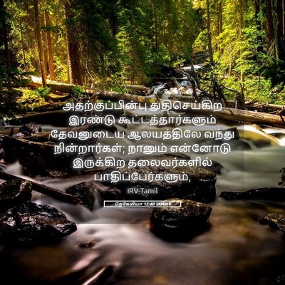 Picture 05 - நெகேமியா 12:40 TAMIRV - அதற்குப்பின்பு - Bible Verse Picture