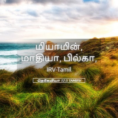 Picture 05 - நெகேமியா 12:5 TAMIRV - மியாமின், மாதியா, - Bible Verse Picture