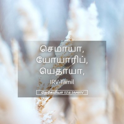Picture 05 - நெகேமியா 12:6 TAMIRV - செமாயா, யோயாரிப், - Bible Verse Picture