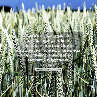 Picture 05 - நெகேமியா 13:12 TAMIRV - அப்பொழுது - Bible Verse Picture