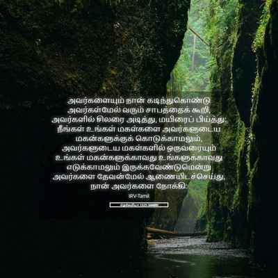 Picture 05 - நெகேமியா 13:25 TAMIRV - அவர்களையும் நான் - Bible Verse Picture