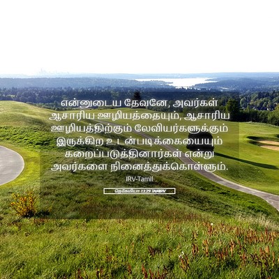 Picture 05 - நெகேமியா 13:29 TAMIRV - என்னுடைய தேவனே, - Bible Verse Picture