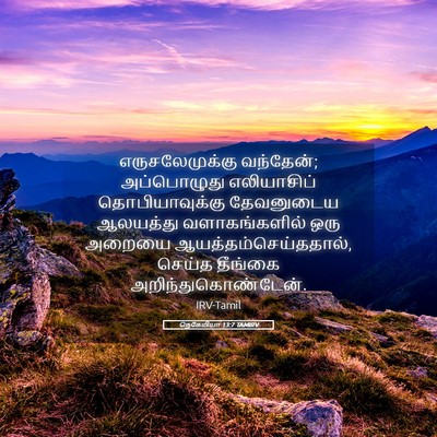 Picture 05 - நெகேமியா 13:7 TAMIRV - எருசலேமுக்கு - Bible Verse Picture