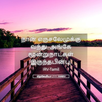 Picture 05 - நெகேமியா 2:11 TAMIRV - நான் எருசலேமுக்கு - Bible Verse Picture