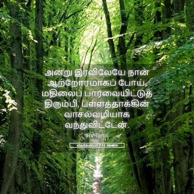 Picture 05 - நெகேமியா 2:15 TAMIRV - அன்று இரவிலேயே - Bible Verse Picture