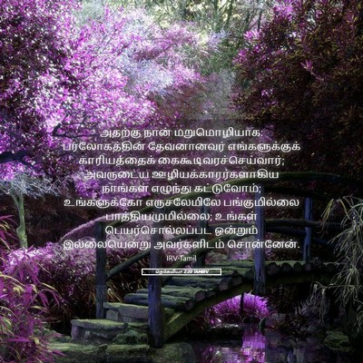 Picture 05 - நெகேமியா 2:20 TAMIRV - அதற்கு நான் - Bible Verse Picture