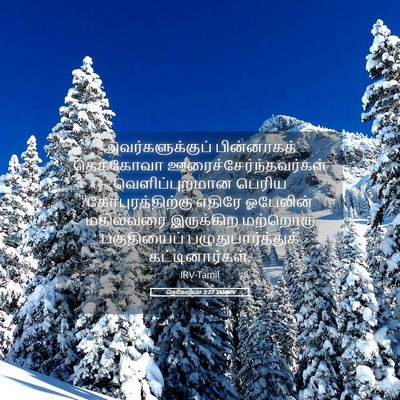 Picture 05 - நெகேமியா 3:27 TAMIRV - அவர்களுக்குப் - Bible Verse Picture