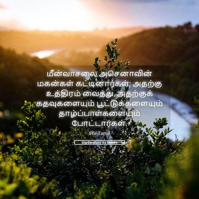 Picture 05 - நெகேமியா 3:3 TAMIRV - மீன்வாசலை - Bible Verse Picture
