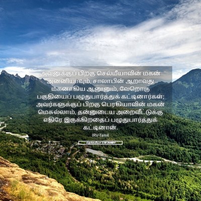 Picture 05 - நெகேமியா 3:30 TAMIRV - அவனுக்குப் பிறகு - Bible Verse Picture