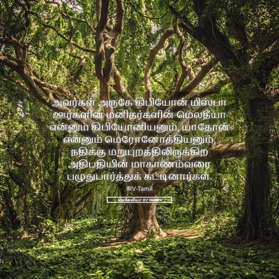 Picture 05 - நெகேமியா 3:7 TAMIRV - அவர்கள் அருகே - Bible Verse Picture