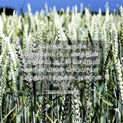 Picture 05 - நெகேமியா 3:9 TAMIRV - அவர்கள் அருகே - Bible Verse Picture
